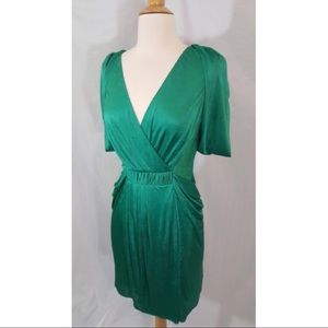 BCBG MaxAzria Runway Holiday Dress!